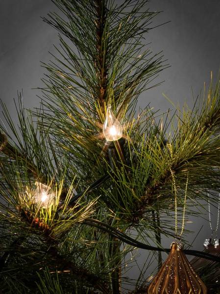 Konstsmide 1057-000 Weihnachtsbaum-Beleuchtung Außen netzbetrieben Glühlampe Klar Beleuchtete Län